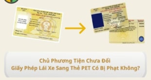 chưa đổi bằng lái xe sang thẻ pet có bị phạt không