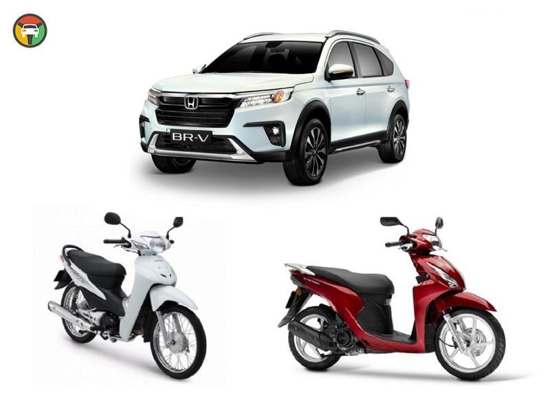 Người điều khiển phương tiện phải có giấy phép lái xe phù hợp với loại xe đang điều khiển