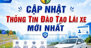 Cập nhật thông tin mới nhất về đào tạo sát hạch lái xe