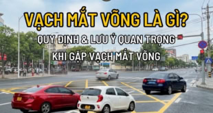 Tìm hiểu vạch mắt võng