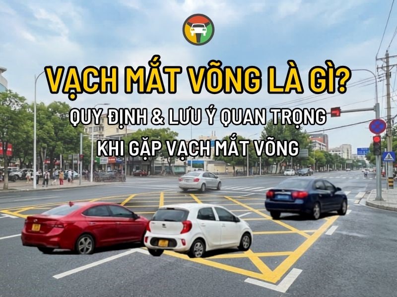 Vạch Mắt Võng Là Gì? Quy Định & Lưu Ý Quan Trọng Khi Gặp Vạch Mắt Võng 7 Tìm hiểu vạch mắt võng