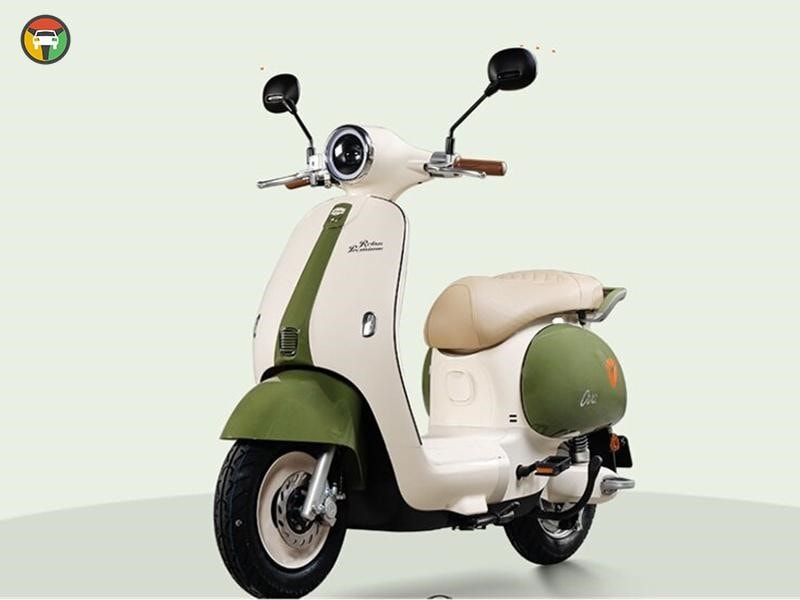 Các Loại Xe Máy Phổ Biến Ở Việt Nam: Ưu Nhược Điểm & Lưu Ý Sử Dụng 16 Xe máy điện là dòng phương tiện sử dụng động cơ điện