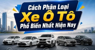 Các cách phân loại xe ô tô phổ biến nhất hiện nay