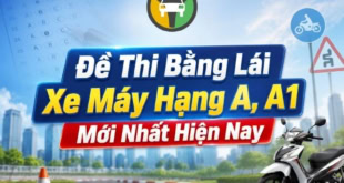 Cấu trúc đề thi bằng lái xe máy hạng A, A1 mới nhất