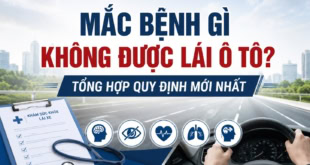 Giải đáp: Mắc bệnh gì không được lái ô tô?