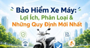 Tìm hiểu về bảo hiểm xe máy: lợi ích, phân loại và quy định mới