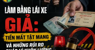 Tìm hiểu về rủi ro khi sử dụng bằng lái xe giả