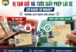 Bị Tạm Giữ Và Tước Giấy Phép Lái Xe Có Khác Gì Nhau? Những Quy Định Liên Quan 43 Tìm hiểu về tạm giữ bằng lái xe và tước giấy phép lái xe