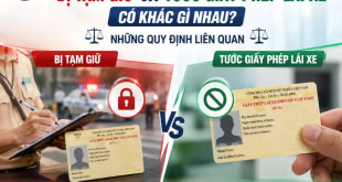 Tìm hiểu về tạm giữ bằng lái xe và tước giấy phép lái xe